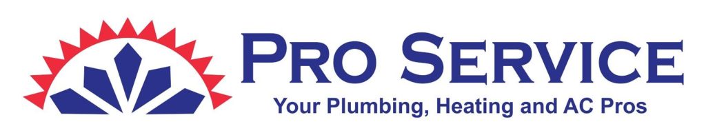 Image of Pro Service Logo